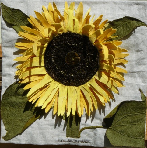 copper plate sunflower